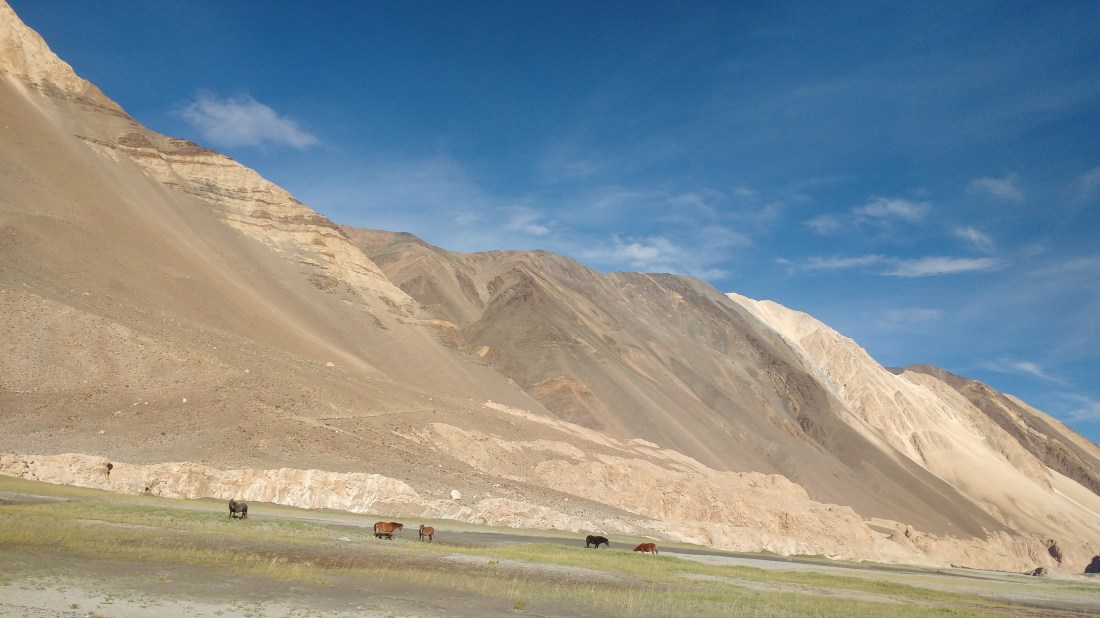 IMG_20190913_162951044