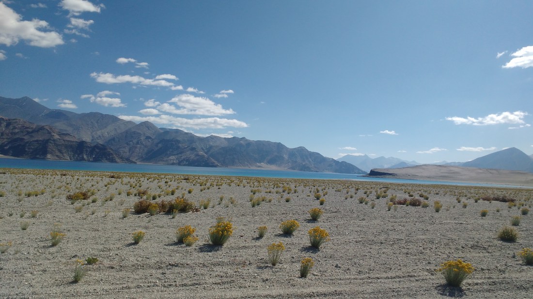 IMG_20190914_092731882